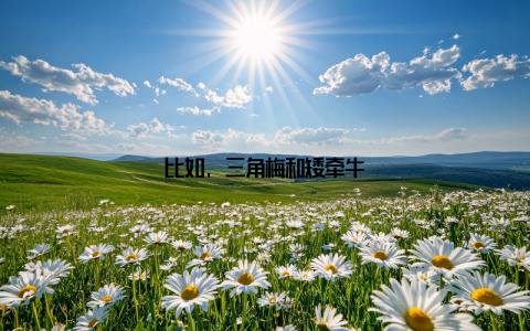 比如, 三角梅和矮牵牛
