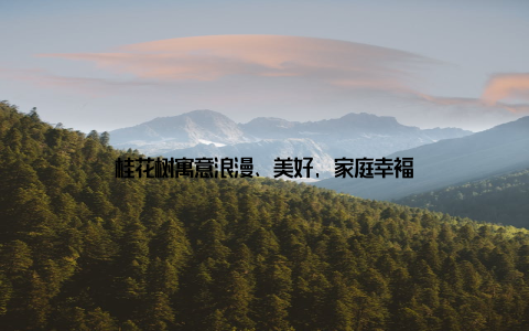 桂花树寓意浪漫、美好, 家庭幸福