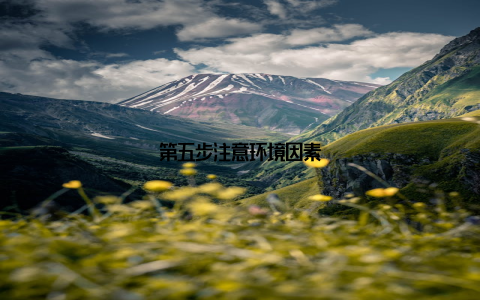 第五步注意环境因素