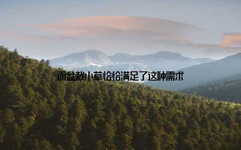而盆栽小草恰恰满足了这种需求