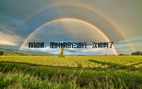 我知道, 是时候给它进行一次修剪了