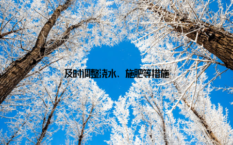 及时调整浇水、施肥等措施