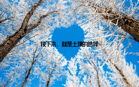 接下来, 就是土壤的选择