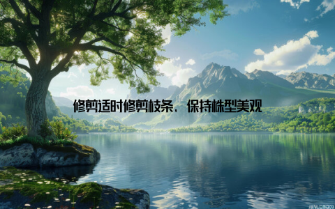 修剪适时修剪枝条, 保持株型美观