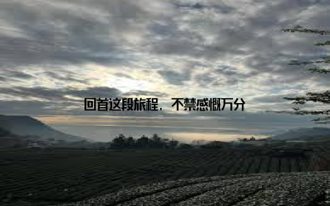 回首这段旅程, 不禁感慨万分