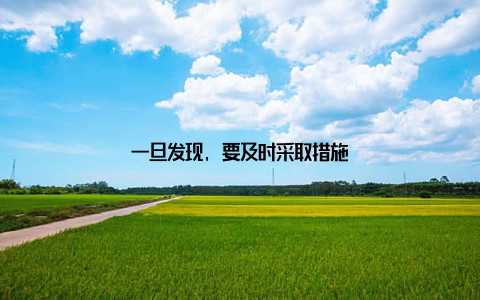 一旦发现, 要及时采取措施