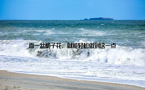 而一盆栀子花, 就能轻松做到这一点