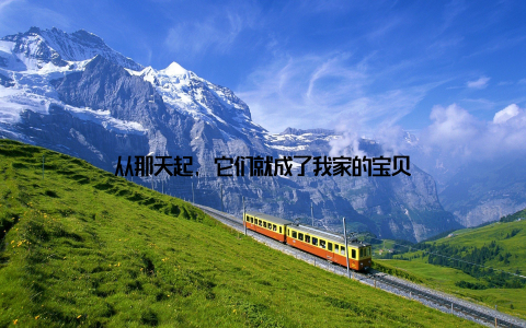 从那天起, 它们就成了我家的宝贝