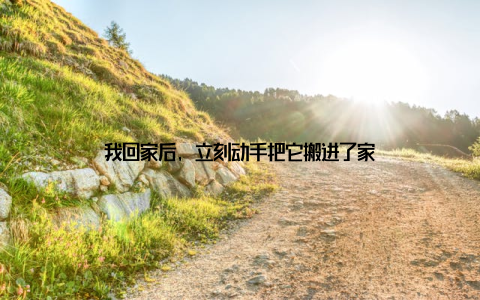 我回家后, 立刻动手把它搬进了家
