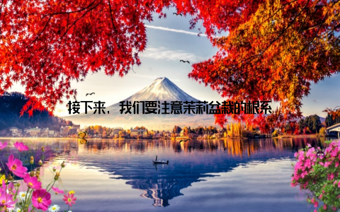 接下来, 我们要注意茉莉盆栽的根系