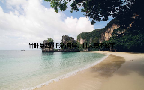 竹叶盆栽的形态各异, 让人爱不释手