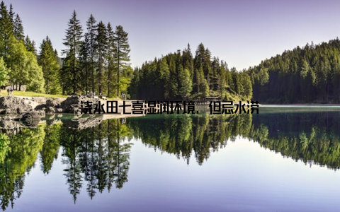 浇水田七喜湿润环境, 但忌水涝