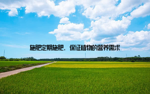 施肥定期施肥, 保证植物的营养需求