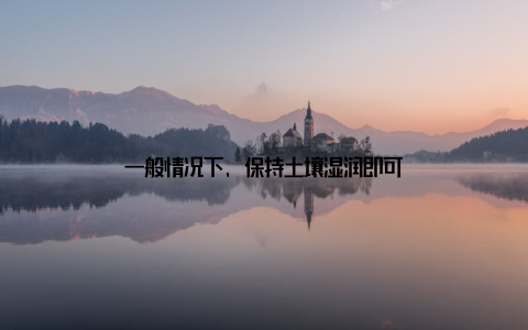 一般情况下, 保持土壤湿润即可