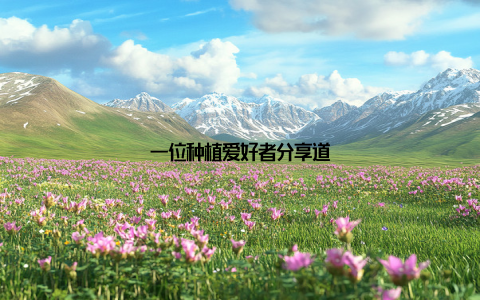 一位种植爱好者分享道