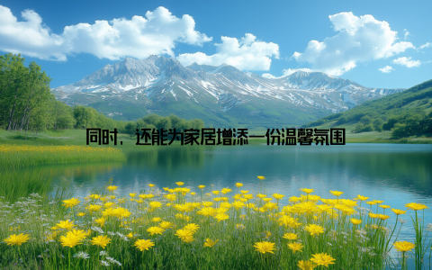 同时, 还能为家居增添一份温馨氛围