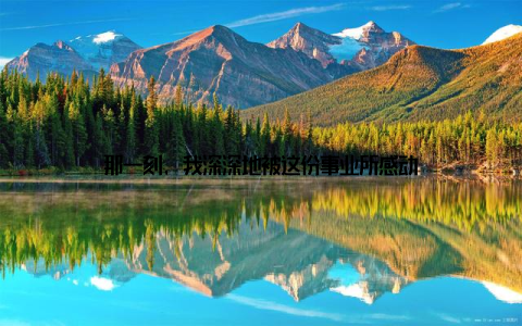 那一刻, 我深深地被这份事业所感动