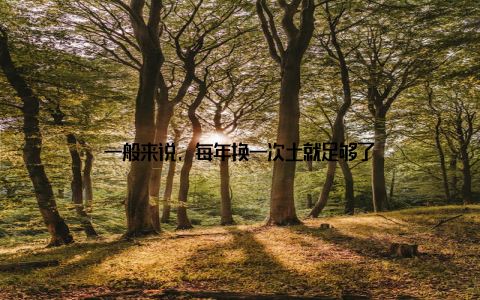 一般来说, 每年换一次土就足够了