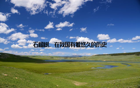 石榴树, 在我国有着悠久的历史