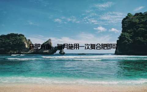 施肥方面, 每月施用一次复合肥即可