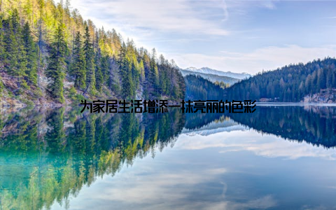 为家居生活增添一抹亮丽的色彩