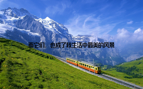 而它们, 也成了我生活中最美的风景