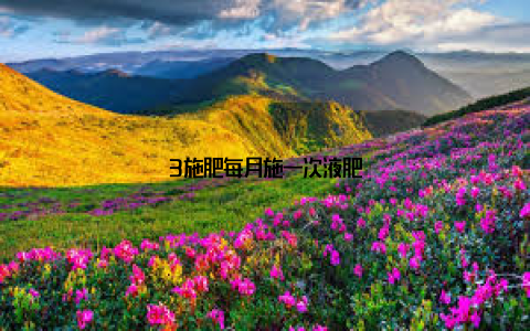 3施肥每月施一次液肥