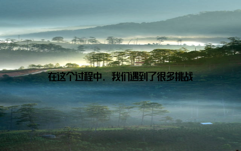 在这个过程中, 我们遇到了很多挑战