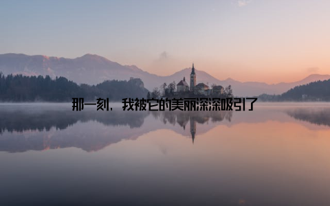 那一刻, 我被它的美丽深深吸引了