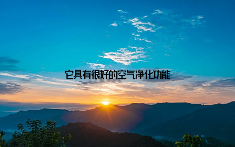 它具有很好的空气净化功能