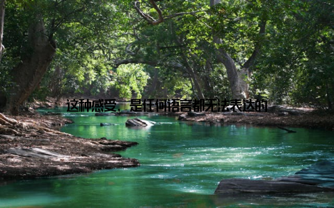 这种感受, 是任何语言都无法表达的