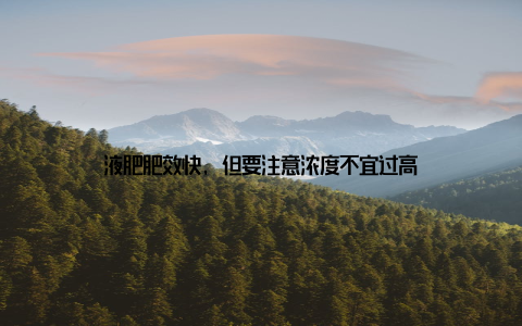 液肥肥效快, 但要注意浓度不宜过高