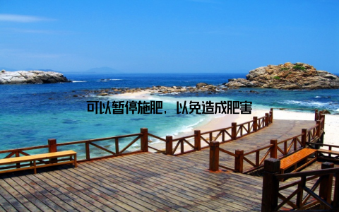 可以暂停施肥, 以免造成肥害