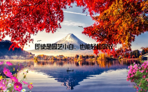 即使是园艺小白, 也能轻松驾驭