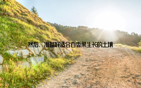 然后, 准备好适合百香果生长的土壤