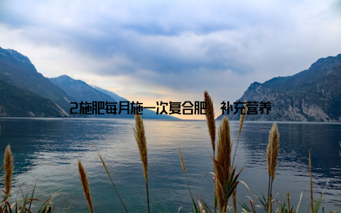 2施肥每月施一次复合肥, 补充营养