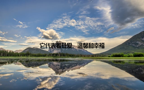 它代表着母爱、温馨和幸福