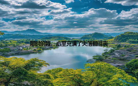 那时的我, 心里充满了失落和沮丧