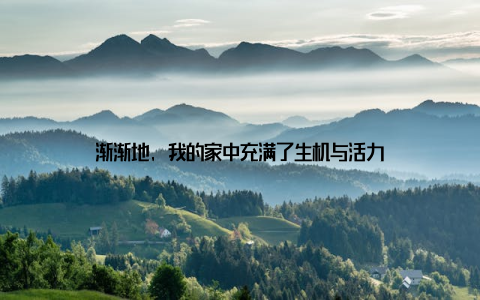 渐渐地, 我的家中充满了生机与活力