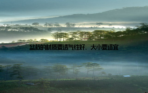 盆栽的材质要透气性好, 大小要适宜