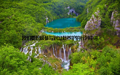 我们要积极参与到盆栽养护的行列中来
