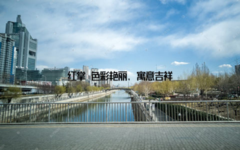 红掌 色彩艳丽, 寓意吉祥