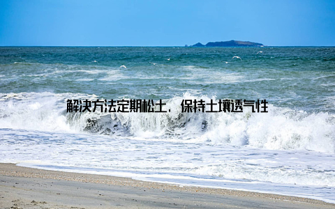 解决方法定期松土, 保持土壤透气性