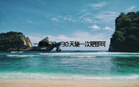 一般每20-30天施一次肥即可