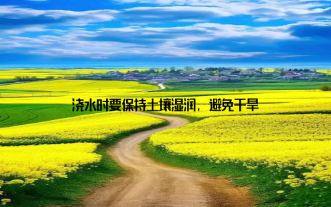 浇水时要保持土壤湿润, 避免干旱