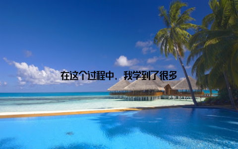 在这个过程中, 我学到了很多