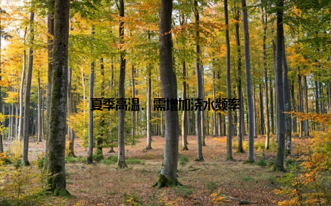 夏季高温, 需增加浇水频率