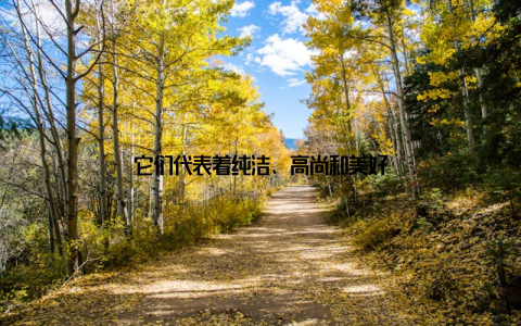 它们代表着纯洁、高尚和美好