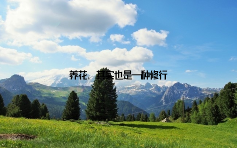 养花, 其实也是一种修行