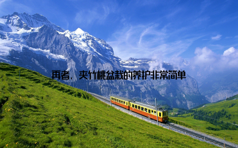 再者, 夹竹桃盆栽的养护非常简单
